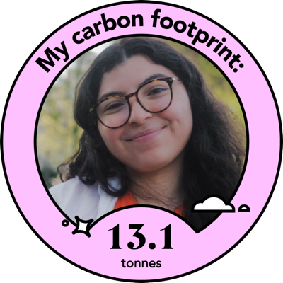 Nour's carbon footprint is 13.1 tonnes of CO2 annually